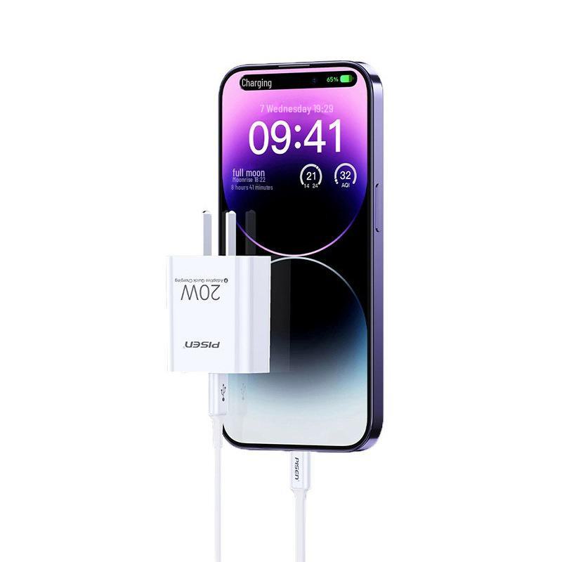 PISEN 16PD Fast Charging 30W Cable for Apple 15 Promax - Dual Type-C Data Cable Set
