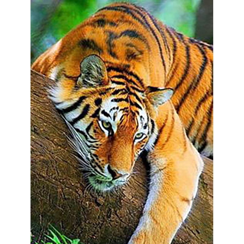 5D DIY Diamond Painting Tiger Full Round Drill Diamond Embroidery Animals Rhinestone Mosaic Cross Stitch Kits Home Decor Gift
