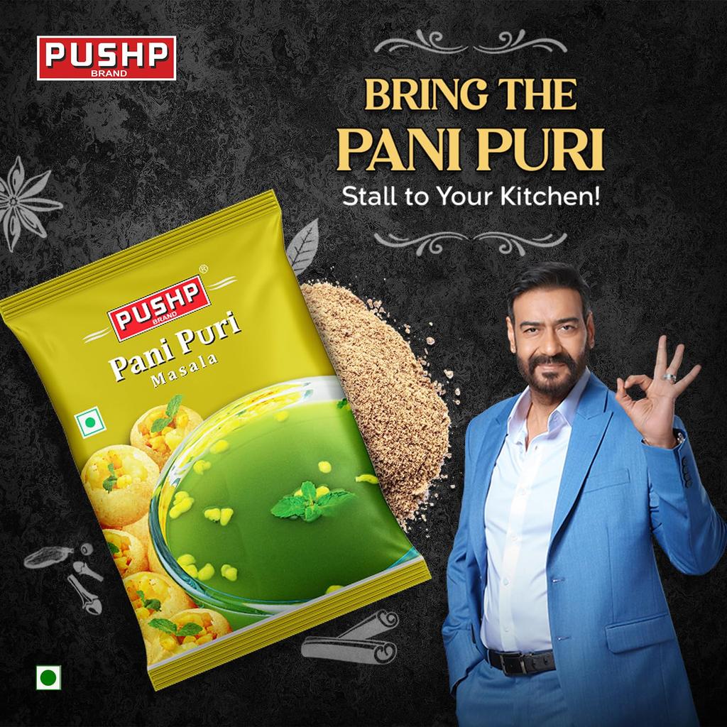 Pushp Panipuri Masala Tangy Spicy Mint Tamarind Spice Mix for Authentic Indian Street Style Pani Puri 500g X Pack of 2