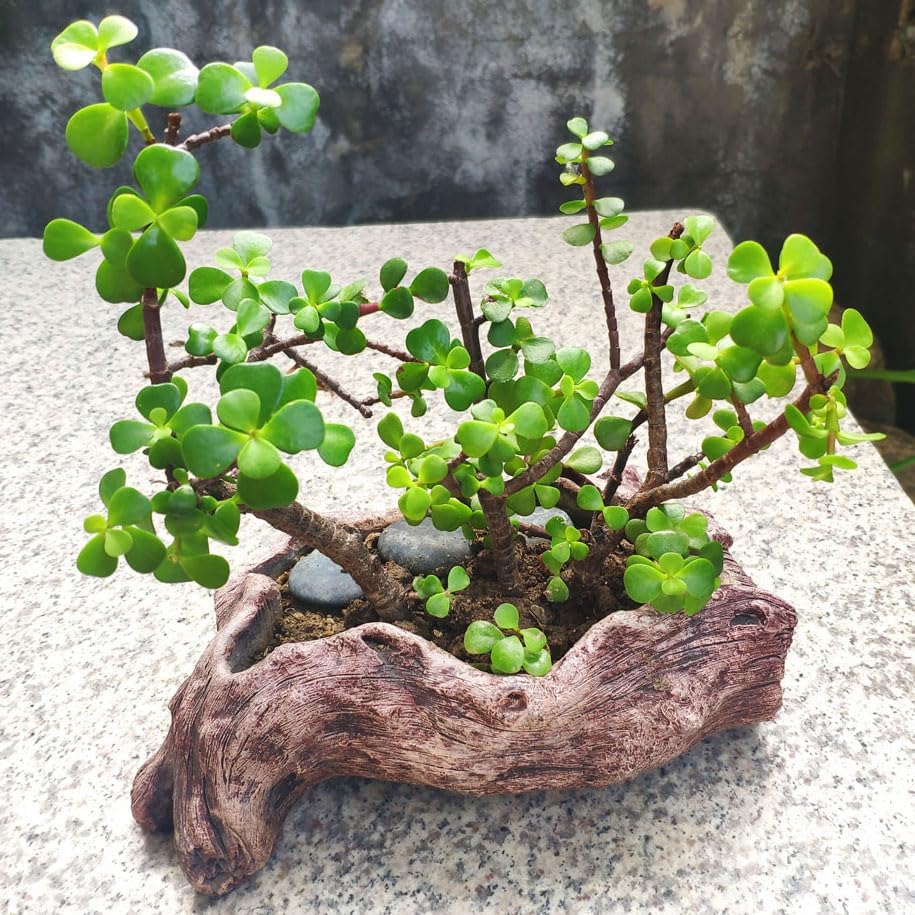 NWFashion Resin Brown Tump Flower Succulent Pot/Planter/Container for Indoor Outdoor