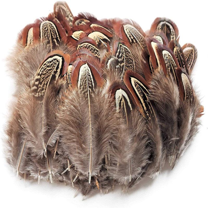100Pcs Pheasant Chicken Feathers Plumes DIY Carnival Wedding Decor And Accessories For The Table Headdress Handicrafts Supplies