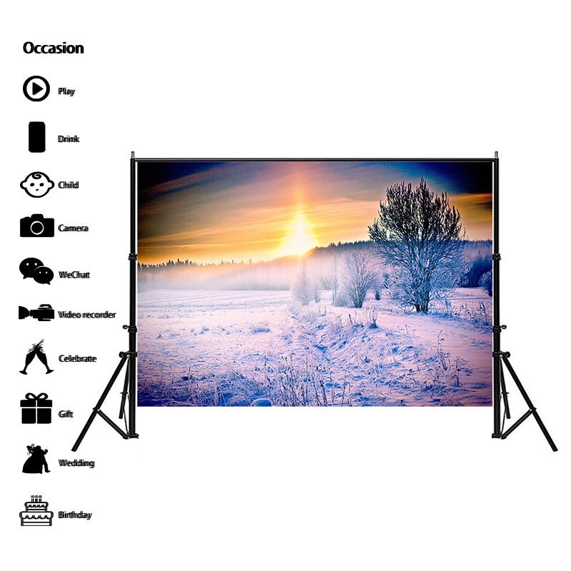 Winter Theme Snow Scene Background Nature Landscape Sky Snowflake Christmas Portrait Prop Party Decoration Banner
