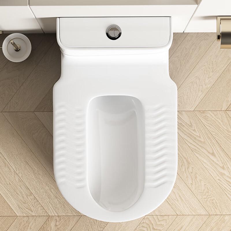 Easi Squat-Sit Dual-Use Ceramic Toilet