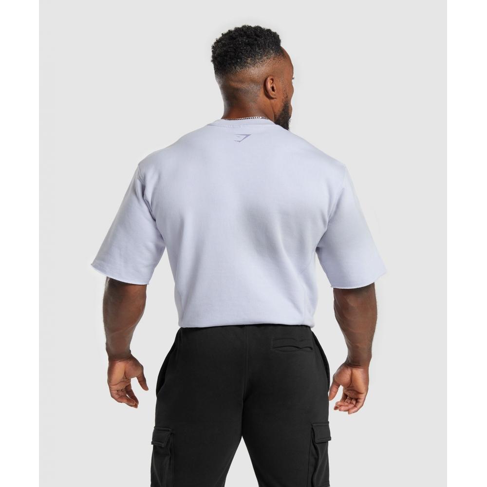 Gymshark Heritage Washed Short Sleeve Crew Silver Lilac A4a8d Pbyv