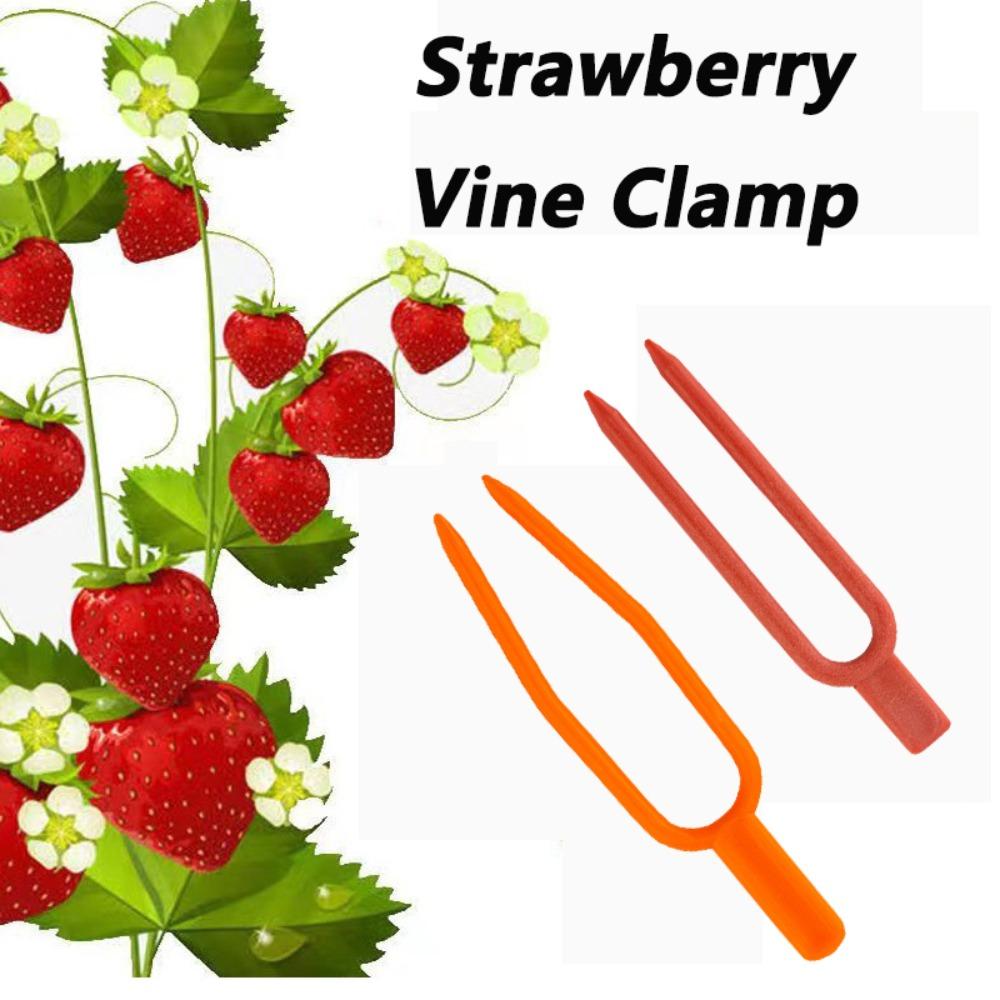 100pcs Garden Strawberry Planting Forks 50/65CM Vine Fixing Fixture Reusable Plant Stem Fixator