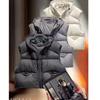 Down Cotton Vest Women's Short Hooded New Korean Loose Feeling Small Vest Vest Jacket