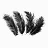 Decorative Feathers - Black, 14cm, 100 Pcs