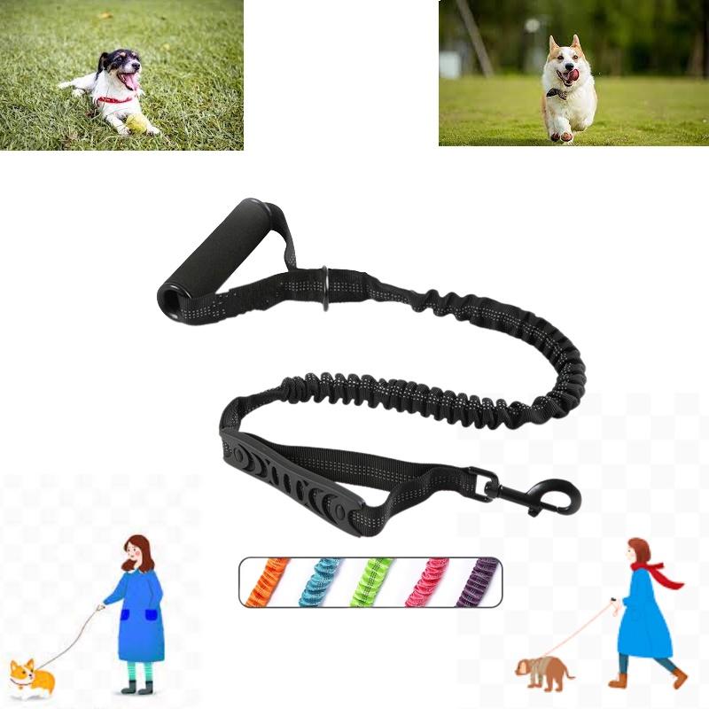 Durable And Safe Nylon Dog Leash With Reflective Design For Pet Owners