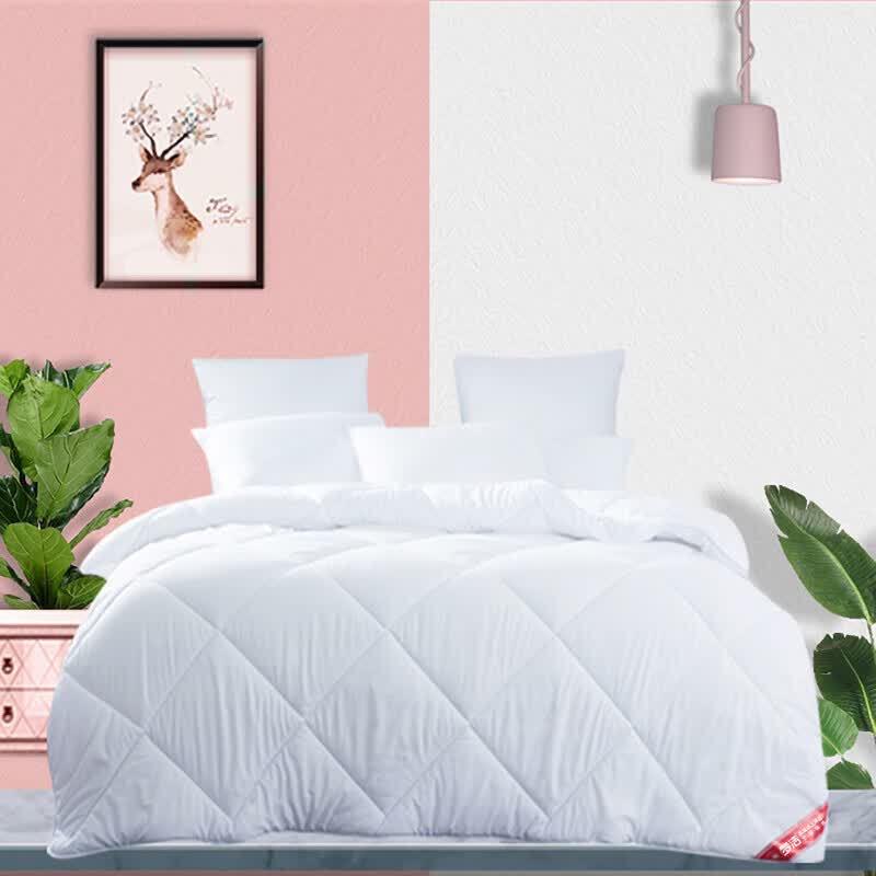 Mengjie Washed Cotton Warm Comforter