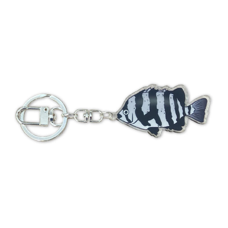 Dol-dom acrylic keyring