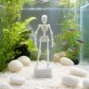with Pipe Suction Cup Dancing Skeleton Aquarium Bubbler  Aquatic Landscaping