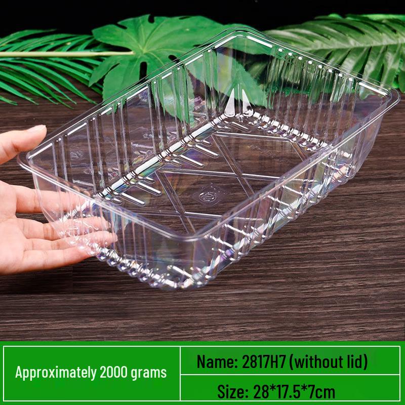 

Disposable Transparent Food Containers