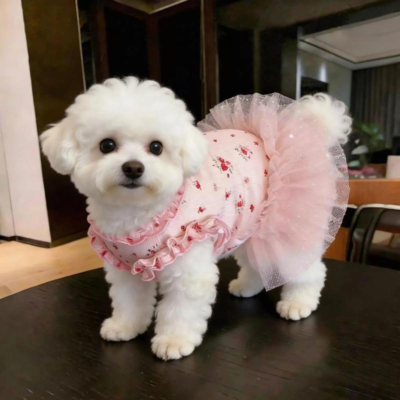 New Pet Clothes Thin Dog Summer Cat Dog Clothes Skirt Lace Floral Pieces Breathable Skin Friendly Dog Teddy Beard Corgi