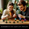 JMBricklayer Flower Succulent Building Blocks Set for Adults 10001 12 Pack Plant Collection Small Plant Building Blocks Flower Bonsai Model Room Home