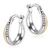DAZZARRY Hoop Earrings, Popular Ring Earrings for Women, 18K Double Color, 925 Silver, Both Ears, Metal Hypoallergenic, Simple Accessory, Present