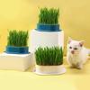 Neue Haustier Katze Sprossen Schüssel Wachsenden Topf Hydrokultur Pflanze Katze Gras Keimung Verdauung Starter Dish Gewächshaus Grow Box
