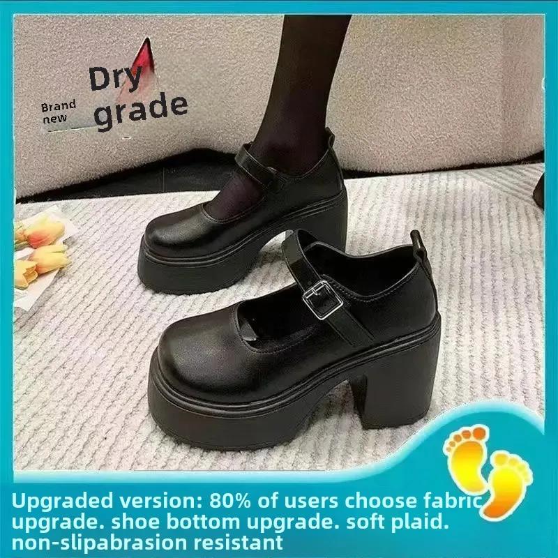 Fashion 2025 New Spring Summer Versatile Thick Bottom French Style Women's Shoes High Heels Small Leather Shoes Ladies Zapatos De Mujer