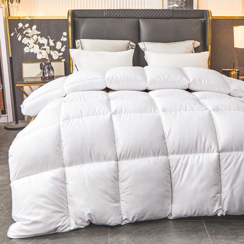 

LISM Thickened Winter Cotton Silk Quilt