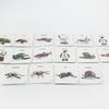 Children'S Science And Education Cognition 16 Animal, Plant And Insect Life Cycle Cards Early Childhood Education Card Toys