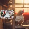 Vintage Rooster Chicken Metal Tin Sign Home Decor Gift 8x12 Inch