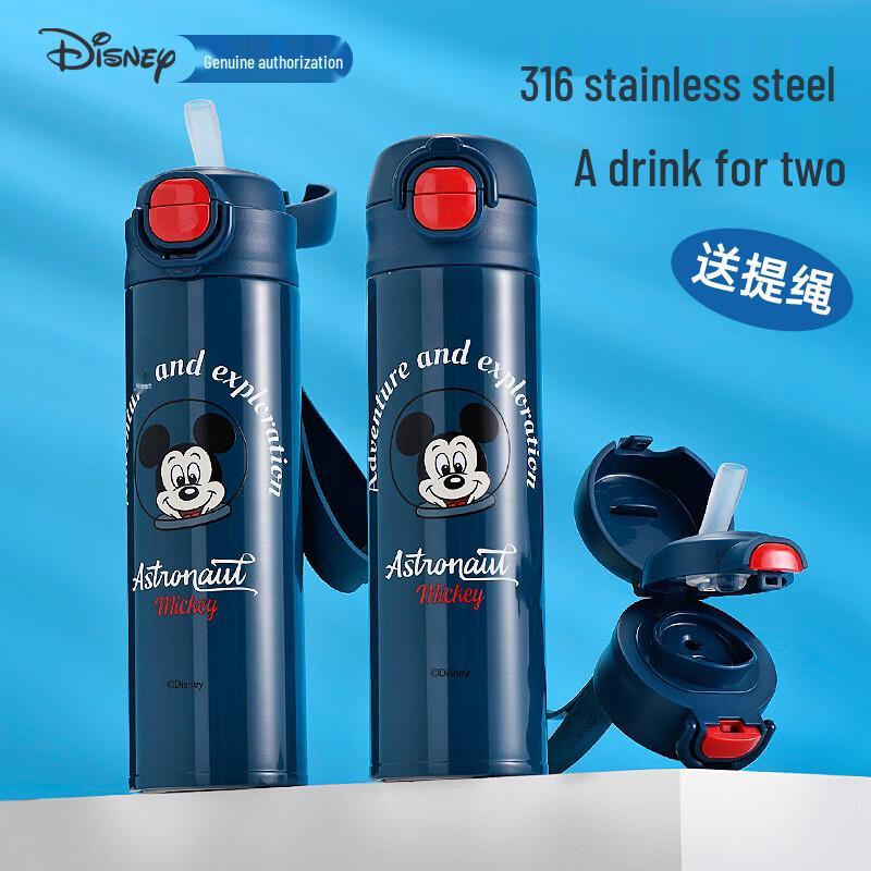 

Disney 316 Stainless Steel Kids Insulated Water Bottle