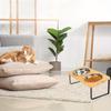 Cat Bowl with 15° Tilting Stand Stainless Steel Elevated Cat Bowl Pet Feeding Station Suitable for Food and Water