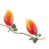 4pcs Foam Mango Model Toys Store Cabinet Decorative Fruits Kids Role Play Toy