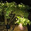 Runtow LED Fairy String Lights, 8 Functions Outdoor Solar Power Light Garland ,Wedding Party Christmas Lamp For Tree Decor