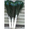 10pcs Fashion DIY Feather 20Pcs Beautiful Blue Peacock Feather