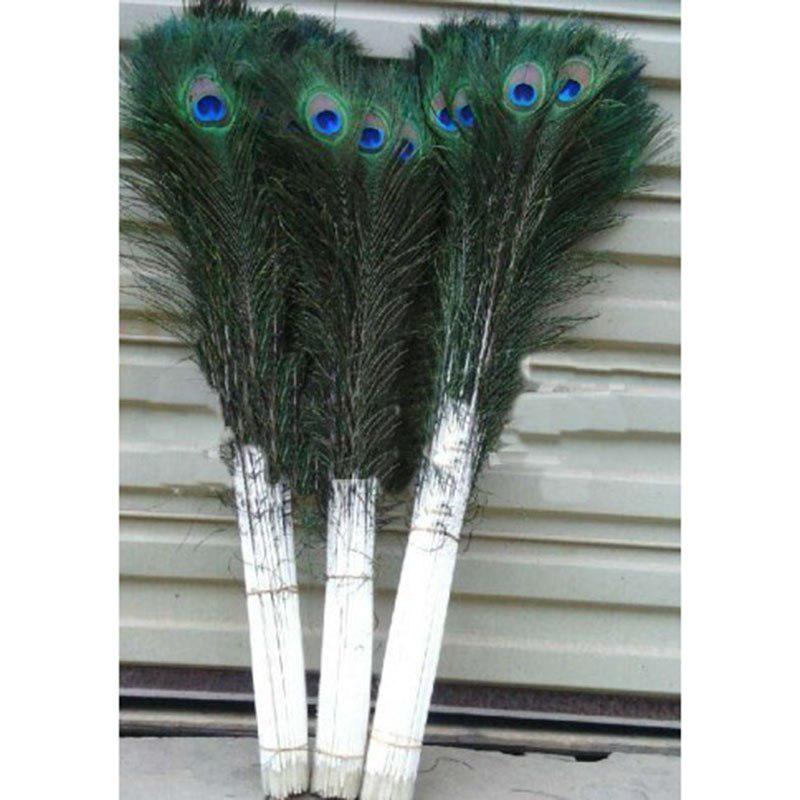 10pcs Fashion DIY Feather 20Pcs Beautiful Blue Peacock Feather