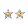 Stainless Steel Five-Pointed Star Stud Earrings for Women Classic Gold Silver Mixed Color Earrings Jewelry Accessories Gifts