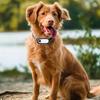 Pet Collar Camera 4K 30FPS HD Wireless Wide Angle Magnetic   Recording Wearable Small Action Camera with Back Clip for Outdoor Sports