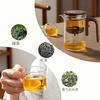 OULOVECO Semi-Automatic Glass Teapot with Wooden Handle, Pressure Control, Heat-Resistant, Suitable for Direct Heat, Tea Pot, Tea Utensils, All-Purpos