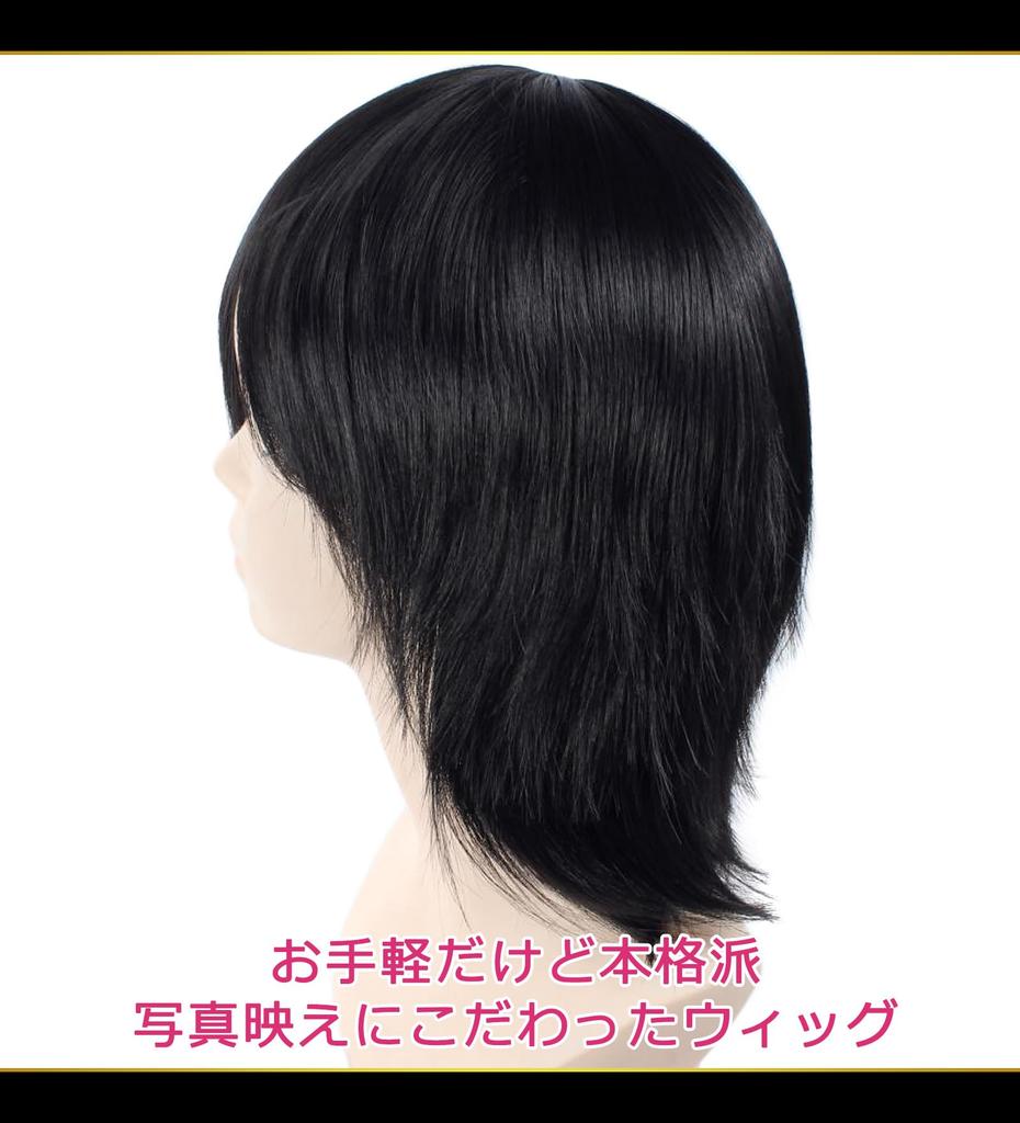 CaseEden Cosplay Wig, Premium Short Hair, 35cm, Black, 6065