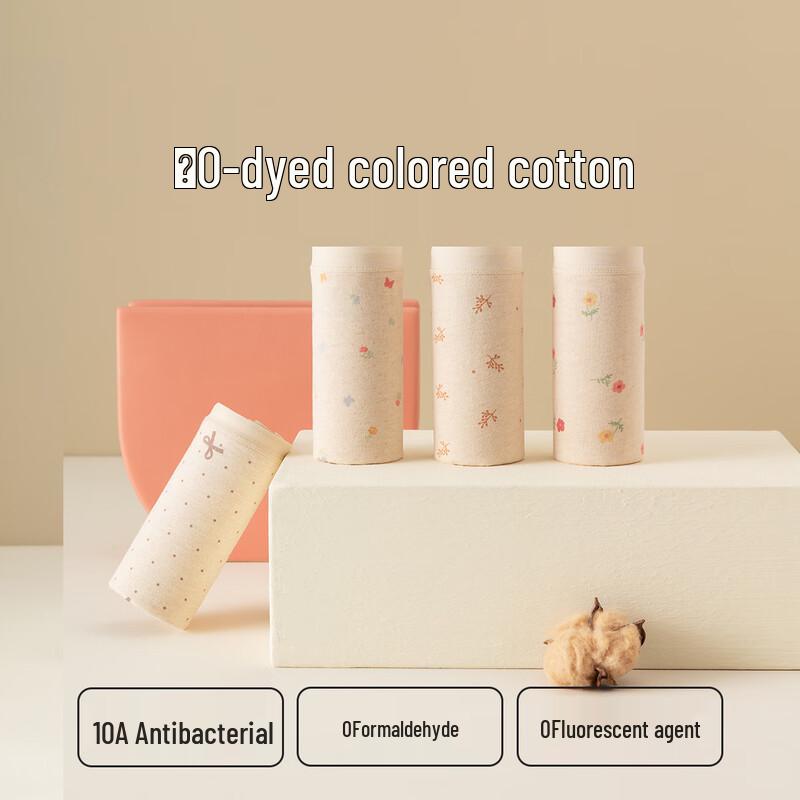 DingGuagua Women's Cotton Antibacterial Mid-Rise Briefs 4-Pack