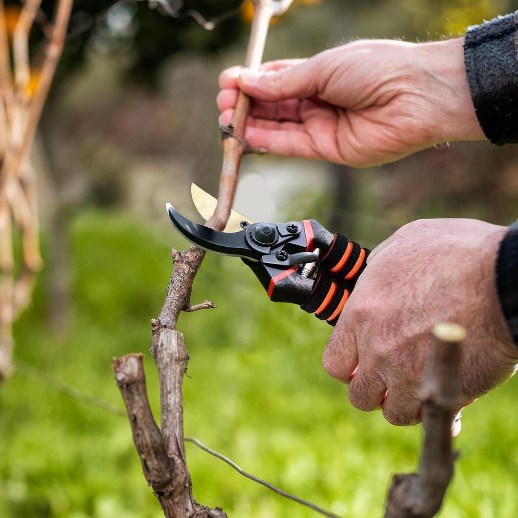 Labor-Saving Gardening Pruning Trees Cut Pruning Shears SK-5 Blade Scissors for Bonsai/Fruit Tree/Flowers/Branches Garden Pruner