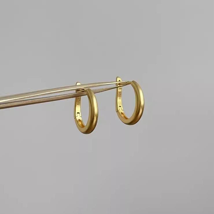 Daily Glossy Vein Earrings Light Luxury Senior Sense Niche Minimalist Personality Versatile Circle Women's Ear Jewelry