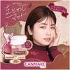 CANMAKE Petite Palette Eyes (Matte Type) M02 Romantic Fog 2g Eyeshadow Multicolored Eyeshadow Lame Pearl Blueish Pink