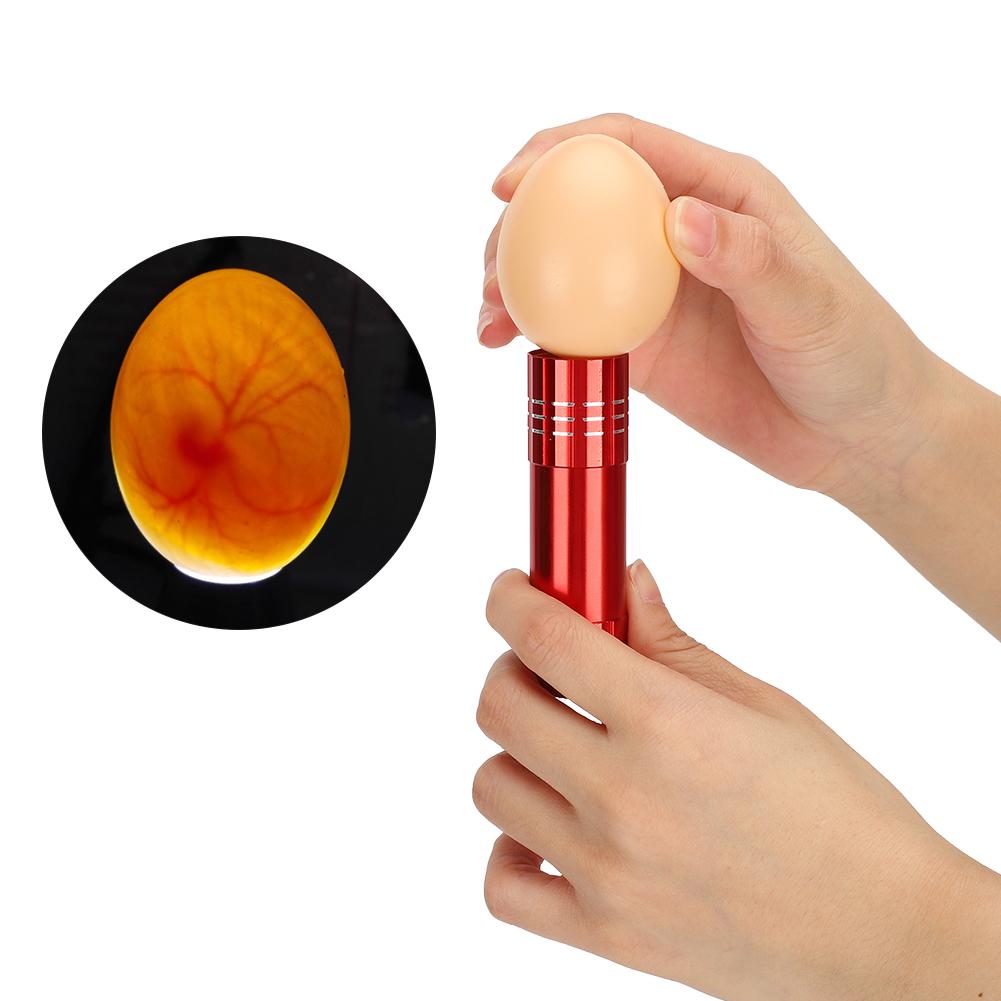 Egg Incubator Tester Candling Lamp 9 Light Bright Cold Hatching Poultry Accessory