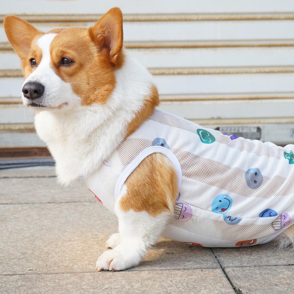 Summer New Pet Dog Clothes Thin Vest Cat Teddy Corgi Shiba Golden Retriever Clothes Anti-drop