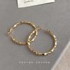 Retro Metal Circle Earrings Internet celebrity design earrings New trendy foreign style earrings