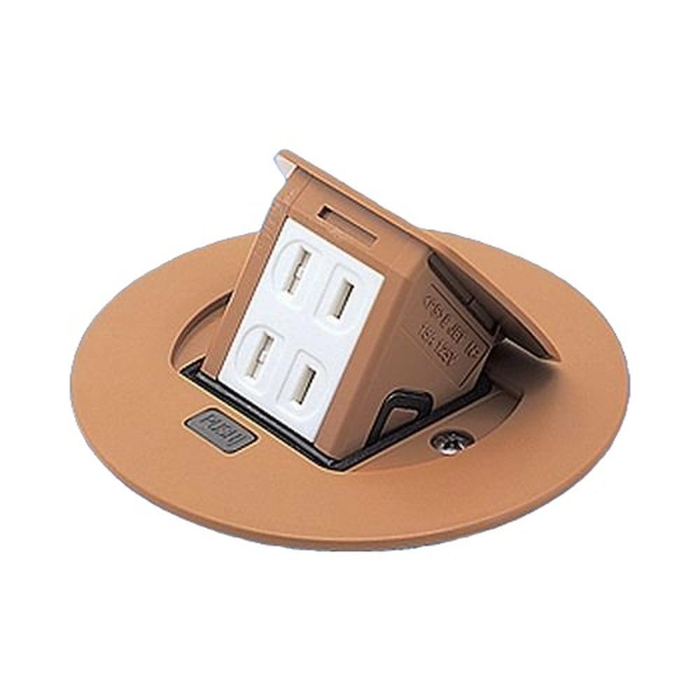 

Panasonic Residential F Type Upcon Round 2 Ports Birch 2P 15A 125V DU1100AK
