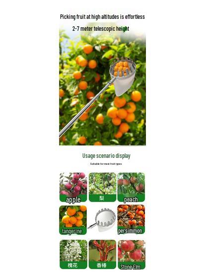 High-Altitude Fruit Picker: Loquat, Waxberry, Mango, Plum, Peach, Apricot - Telescopic Pole Tool