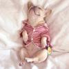 Soft Silk French Bulldog Pajamas Pet Dog Pajama For Small Dogs Shih Tzu Puppy Cat Clothes Pets Clothing