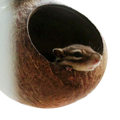 קן תוכי מחמד קליפת קוקוס טבעית בית כלוב מזין תוכיון ציפורים אוגר צעצועים