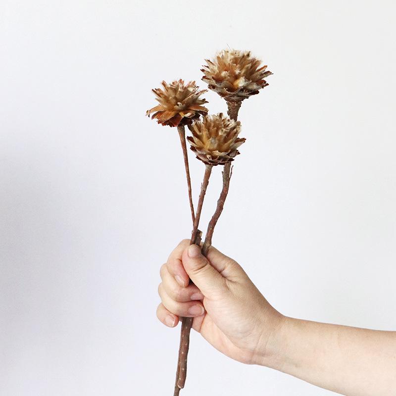 High-End Wabi-Sabi Dried Flower Decor: Natural Reeds & Wheat for Living Room or Homestay.