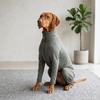Elastischer Hunde-Genesungsanzug Atmungsaktiver Reißverschluss Hunde-Outfit Langlebig Vollständige Abdeckung Hundekleidung Körper Warm