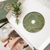 Christmas Greenery Box 15X23 - Set Of 10