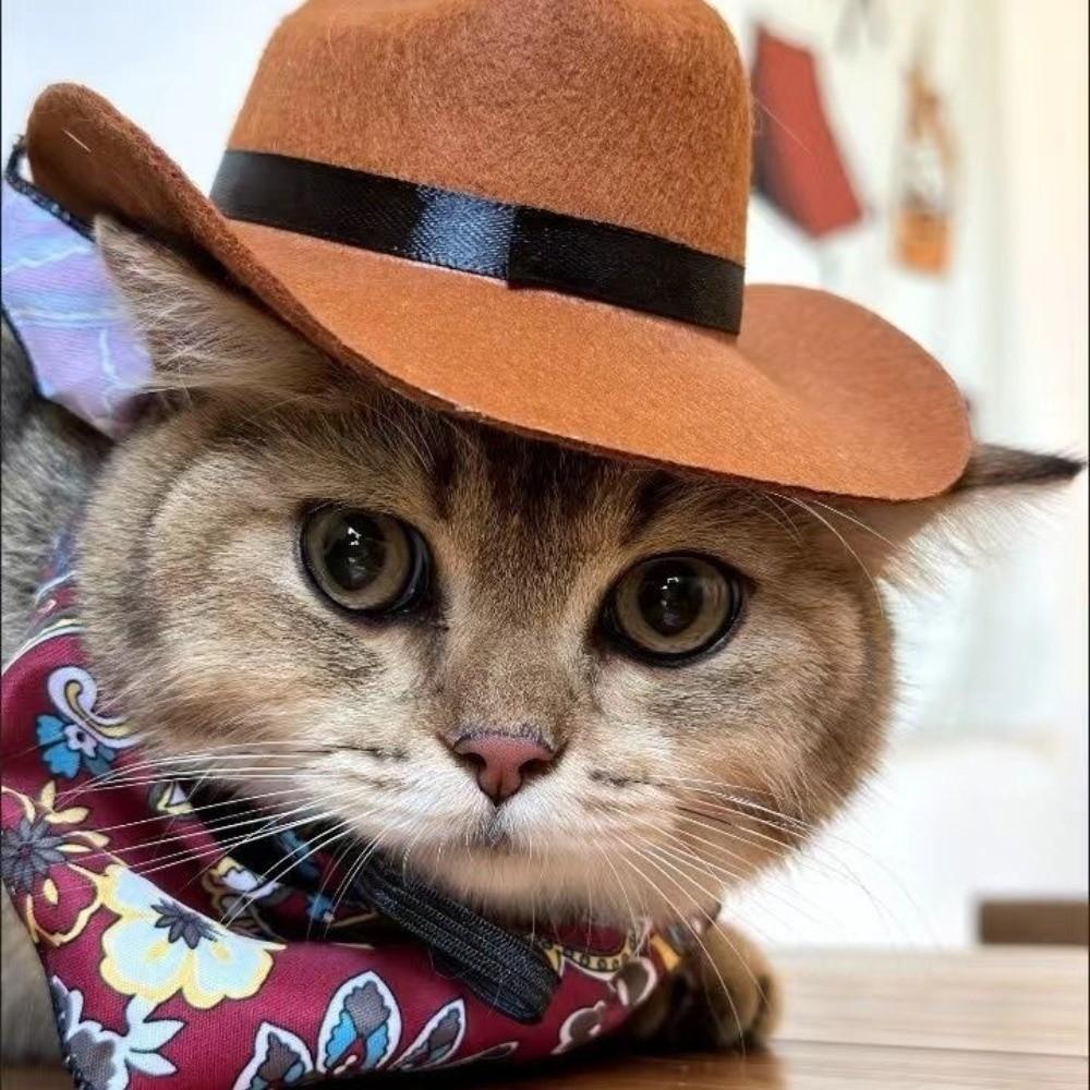 Cute Pet Cowboy Hat Breathable Cosplay Cap Bandana Pet Supplies Pet Costume  For Cats and Dogs
