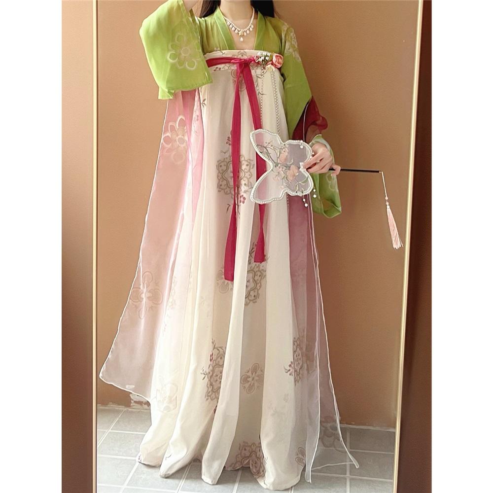 Chinese Tang Dynasty Style Hanfu, One-piece Skirt, Daily Suit For Women